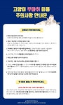 개청순한고양이미용실