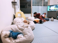 놀개나개