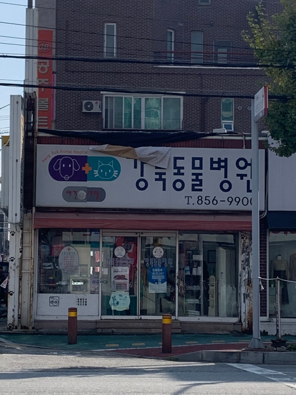 강북동물병원