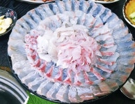 광어생각