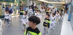 신곡최강태권도