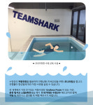 팀샤크스윔앤피트니스