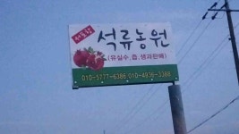 서포항석류농원 | 서포항 석류 농원