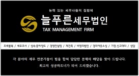 늘푸른세무법인 잠실지점