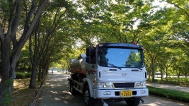 울산 물드림