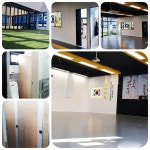 최강국가대표태권도장