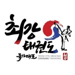 최강국가대표태권도장