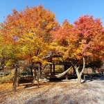 데미샘계곡펜션