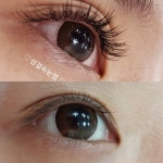 섬결속눈썹