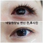 섬결속눈썹