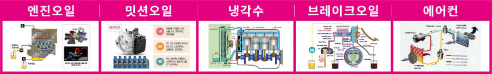 경희카클리닉청대카