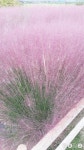 바람새마을
