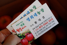 영희네농장