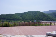 에스지텍