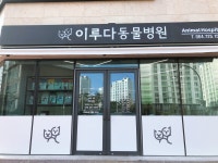 이루다동물병원