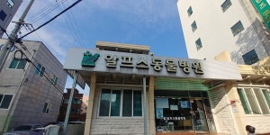알프스동물병원