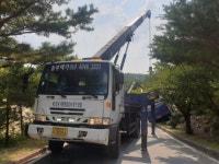 월드렉카