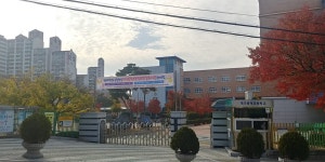 대구봉덕초등학교