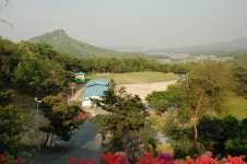 황새울관광농원
