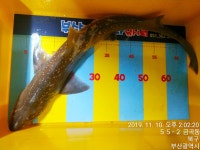 부산실내바다낚시터