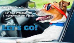 콤피펫쇼퍼서비스