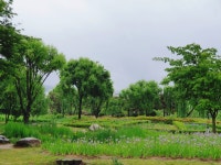 미목 나무반지공방