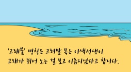 고래불체험마을