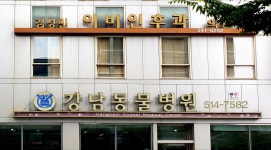 강남동물병원