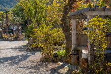 버드하우스캠핑장