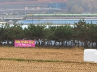 해피연이네다육