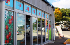 영희네농장