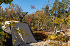 버드하우스캠핑장