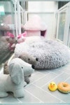 곰스살롱