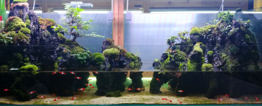 산아쿠아 서울수족관