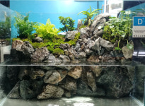 산아쿠아 서울수족관