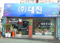 대진관광여행사
