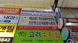 고려수지침 신안산지회