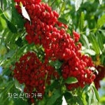 지엠에스코포레이션