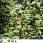 지엠에스코포레이션
