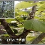 지엠에스코포레이션