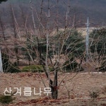 지엠에스코포레이션