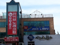 아라한참치