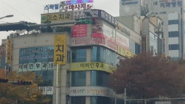 참미소치과의원