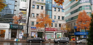 국선도 대전둔산수련원