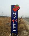 영구딸기농장