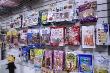 아지세상애견샵