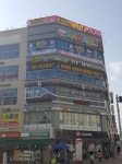 글로벌이시아태권스쿨