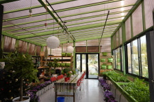 초리골 도토리새싹요리