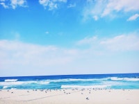 클래식지니하우스