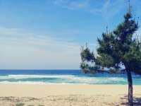 클래식지니하우스